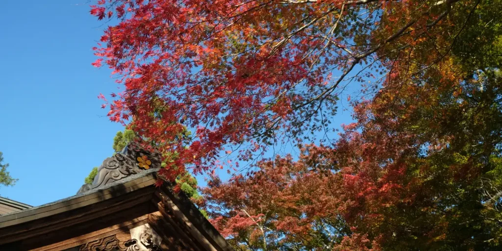 parc hiraizumi