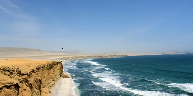 reserve nationale paracas