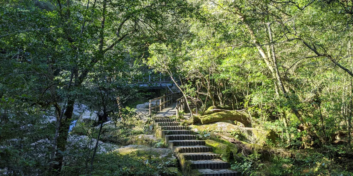 visiter yakushima japon