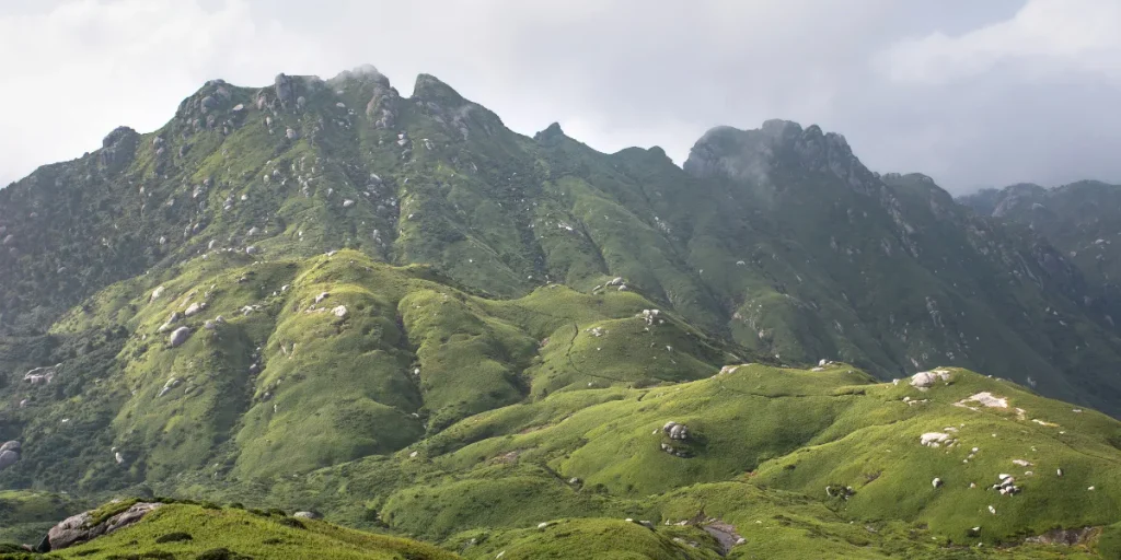 yakushima ile