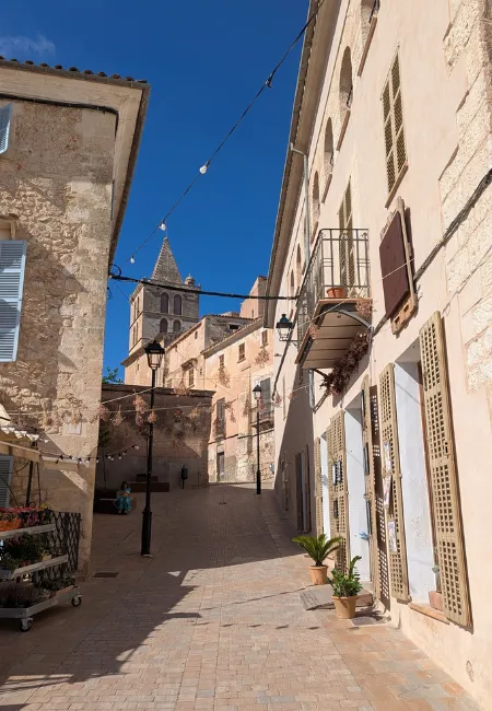 rue sineu