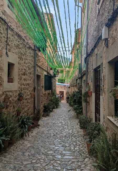 rue valdemossa